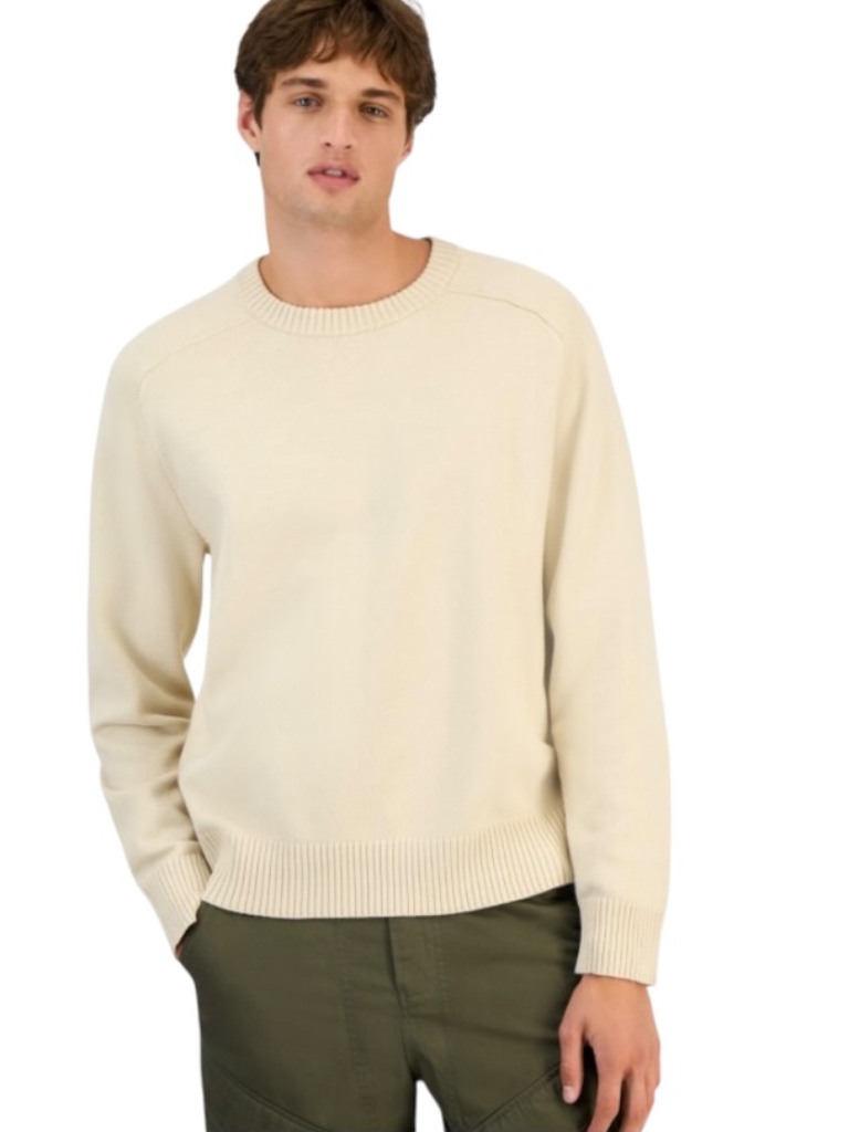 Sun + Stone Men's Crewneck Sweater, Neutral Size S - Nwt